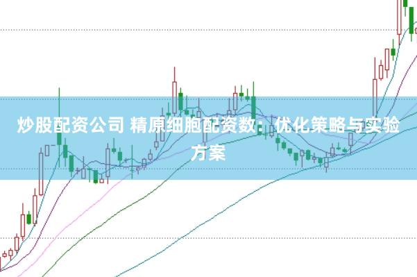 炒股配资公司 精原细胞配资数：优化策略与实验方案