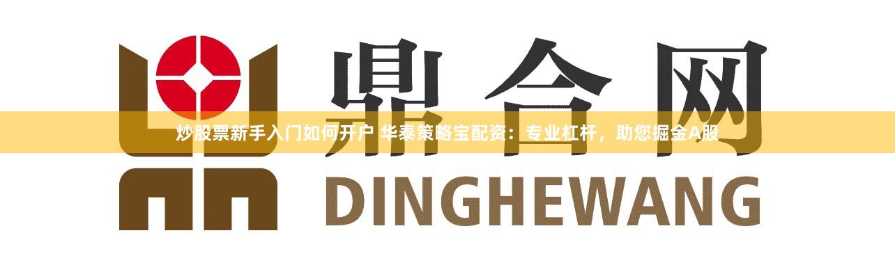 炒股票新手入门如何开户 华泰策略宝配资：专业杠杆，助您掘金A股