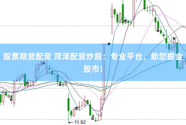 股票期货配资 菏泽配资炒股：专业平台，助您掘金股市！