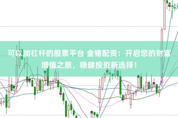 可以加杠杆的股票平台 金猪配资：开启您的财富增值之旅，稳健投资新选择！