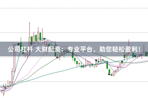 公司杠杆 大财配资：专业平台，助您轻松盈利！