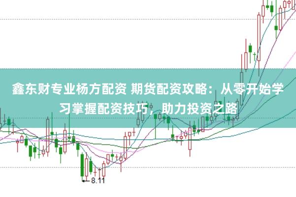 鑫东财专业杨方配资 期货配资攻略:从零开始学习掌握配资技巧,助力投资之路
