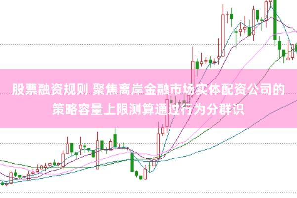 股票融资规则 聚焦离岸金融市场实体配资公司的策略容量上限测算通过行为分群识