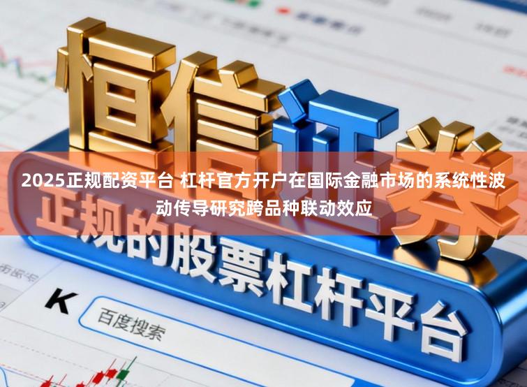 2025正规配资平台 杠杆官方开户在国际金融市场的系统性波动传导研究跨品种联动效应
