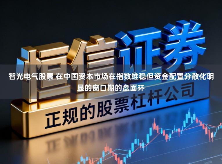 智光电气股票 在中国资本市场在指数维稳但资金配置分散化明显的窗口期的盘面环
