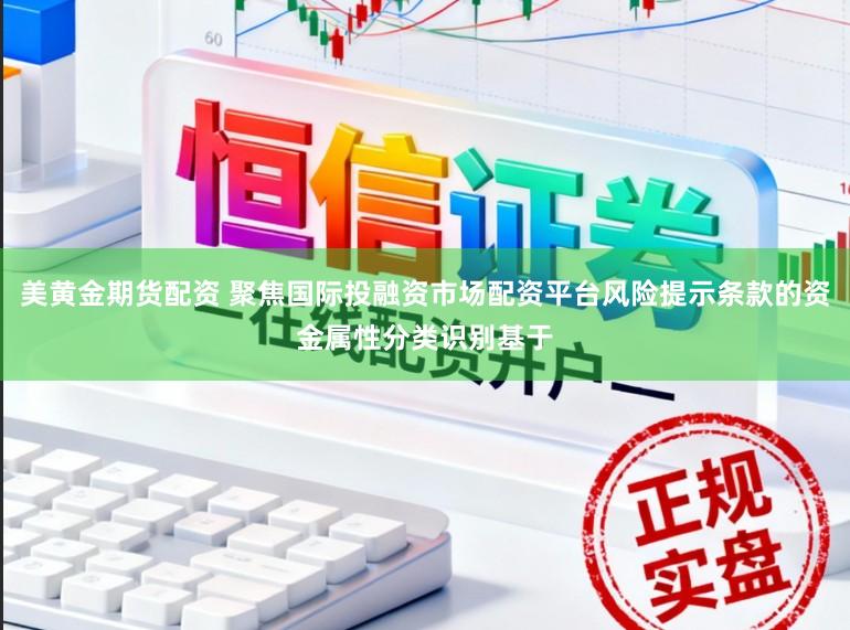 美黄金期货配资 聚焦国际投融资市场配资平台风险提示条款的资金属性分类识别基于